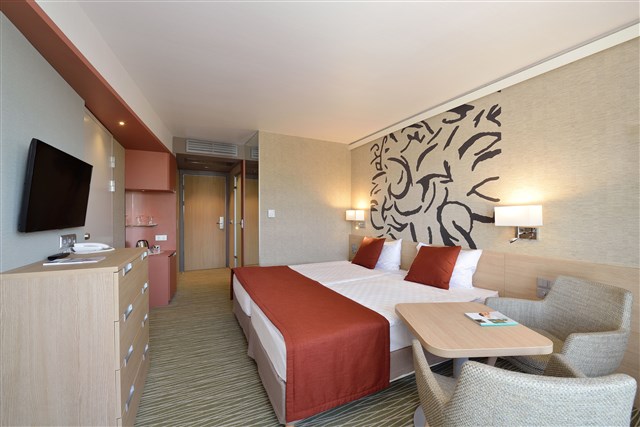 DANUBIUS HOTEL BÜK - dvoulůžkový pokoj s možností přistýlky - typ 2(+1) Executive