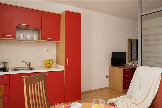 Apartmány HOSTIN-ROŽA - místnost se 2 lůžky a rozkládacím gaučem - typ STUDIO 3(+0)