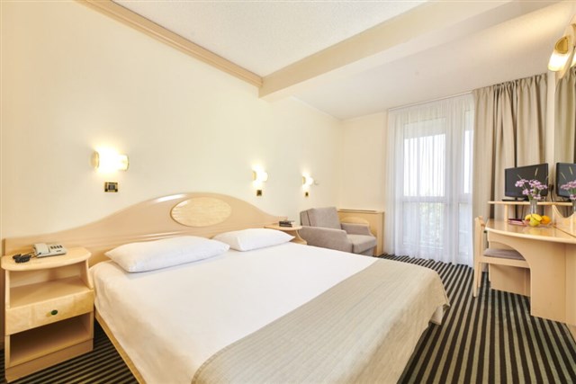 Hotel ISTRA PLAVA LAGUNA - dvoulůžkový pokoj s možností přistýlky - typ 2(+1) BM