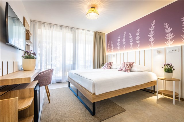 Hotel VILE PARK - dvoulůžkový pokoj - typ 2(+0) Premium