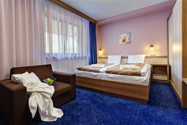 ALEXANDRA Wellness Hotel - dvoulůžkový pokoj s možností přistýlky - typ 2(+1)