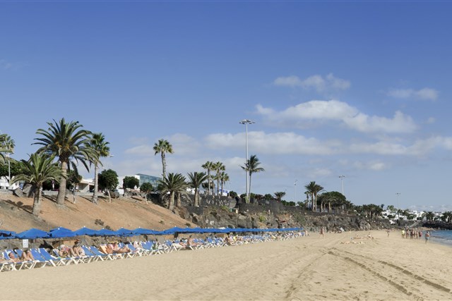 EREZA LOS HIBISCOS - pláž u hotelu