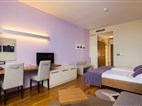 Hotel BRETANIDE Sport & Wellness resort - dvoulůžkový pokoj s možností dvou přistýlek - typ 2(+2) J.SUITE BM