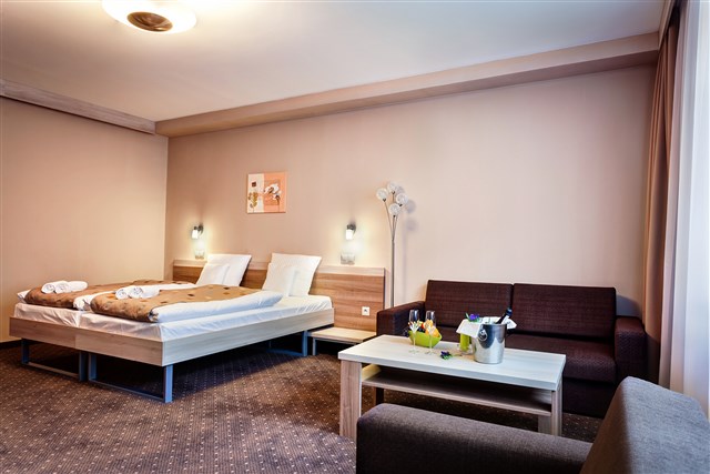 ALEXANDRA Wellness Hotel - dvoulůžkový pokoj s možností dvou přistýlek - typ 2(+2)